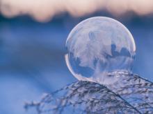 bulle gelée sur feuille d' arbre bien être, saison d'hiver,rhume, conseils bien être